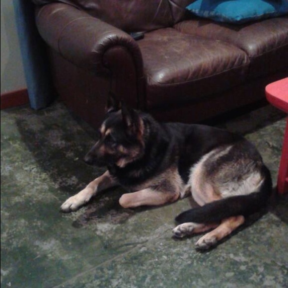 Your Fabulous Posher, Naye - Picture 6 of 6